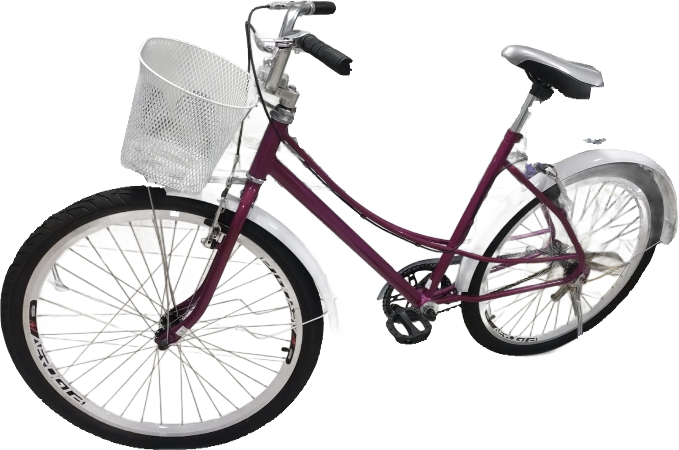 Bicicleta EVOLO Aro 29 Laranja
